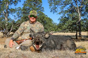 Jim's 2020 California Wild Pig Tehama County